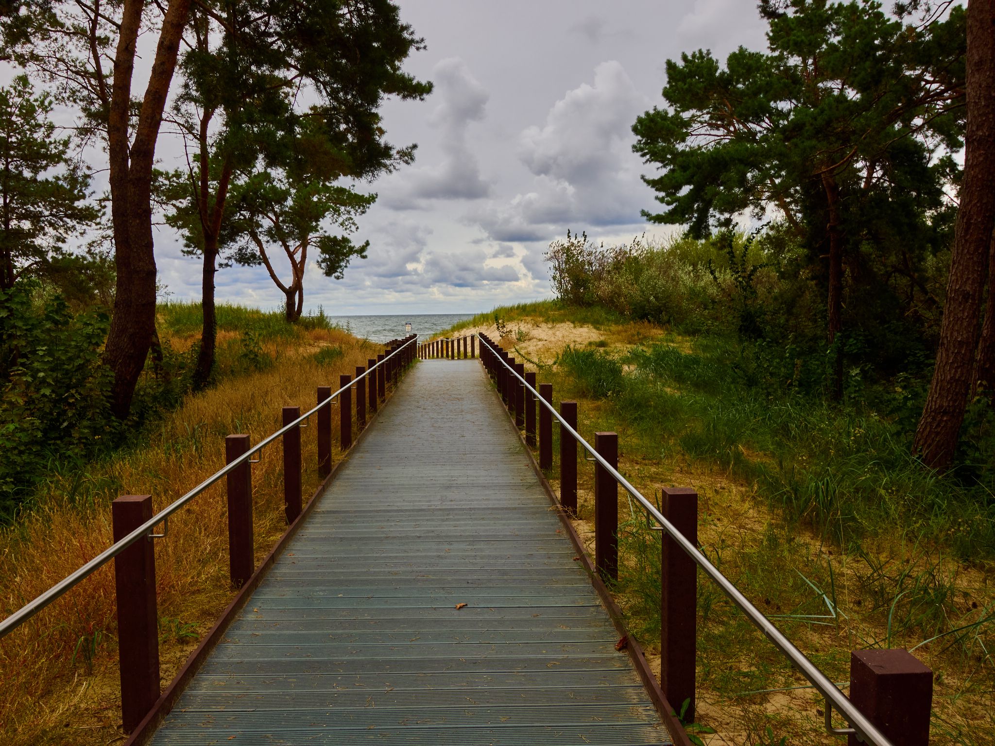 Landschaft 2024  1754 Usedom